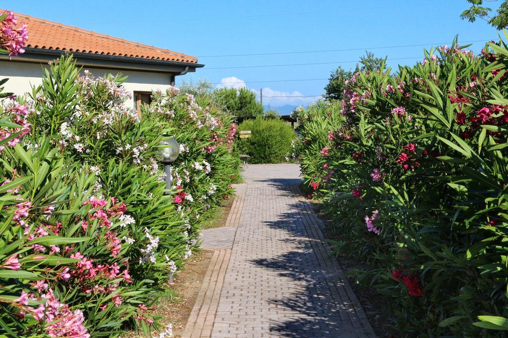 Agriturismo Gli Etruschi Populonia Exterior photo