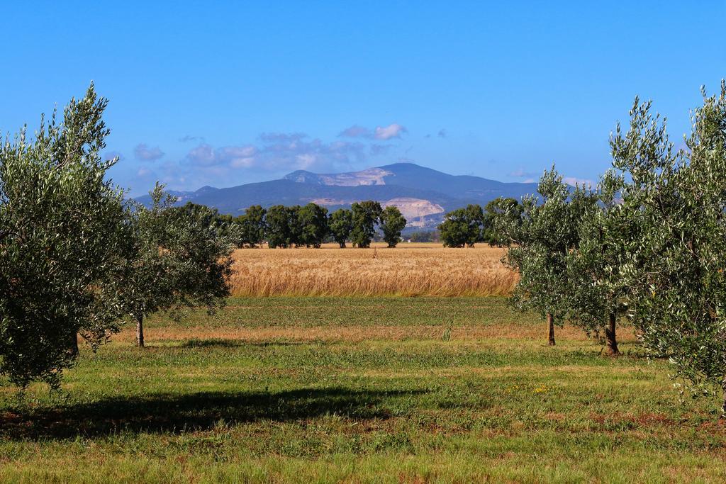 Agriturismo Gli Etruschi Populonia Exterior photo